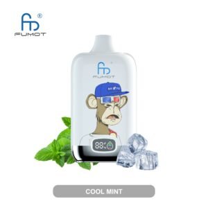 Fumot Vape 12000 Cool Mint | Randm Tornado 12000 Fumot 12000 Menthol E-Zigarette Kaufen