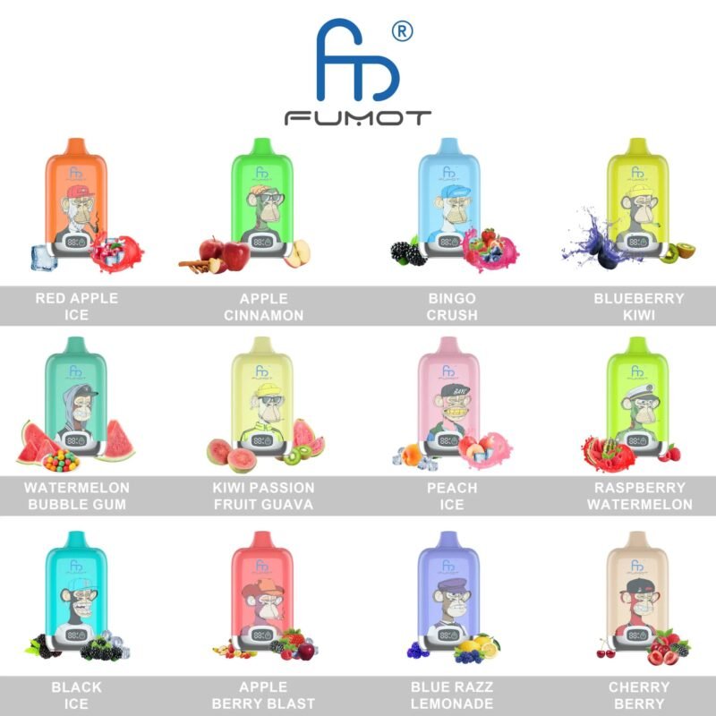 Fumot 12000 Digital Box